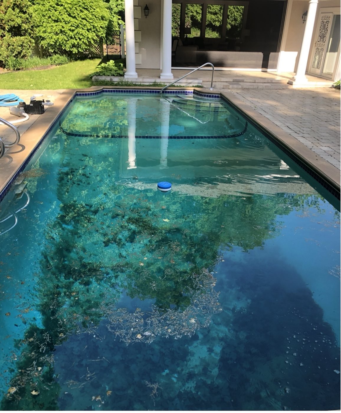 Algae-green swimming pool before Blue Anchor cleaning